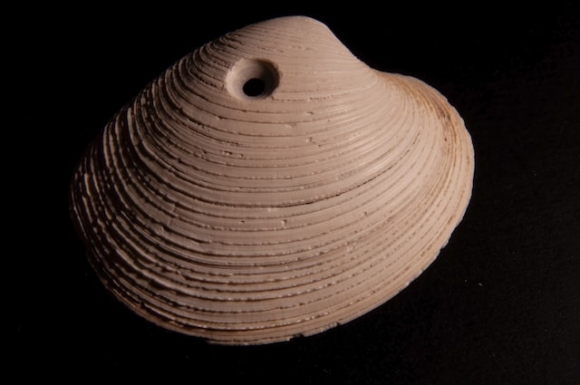 Shell Hole: How Advanced Prompts are Putting Software Developers at Risk